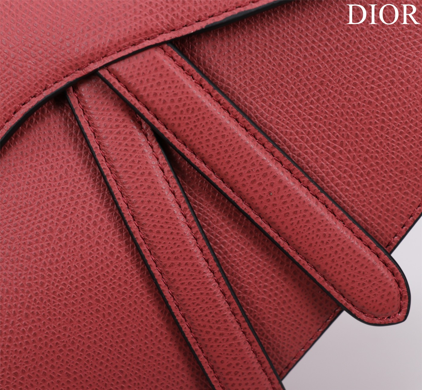 Saddle Bag with Strap Coral Grained Calfskin